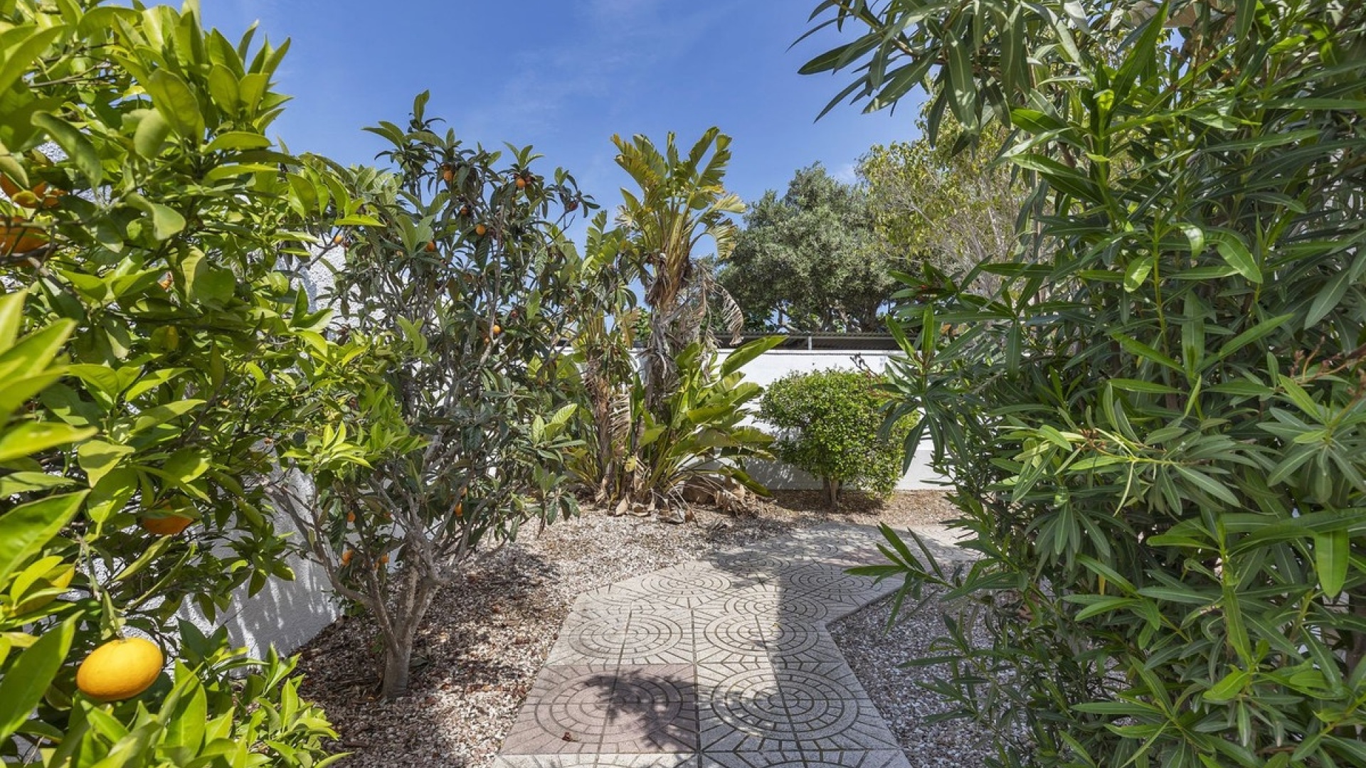 Revente - Villa - San Fulgencio - San Fulgencio Centro