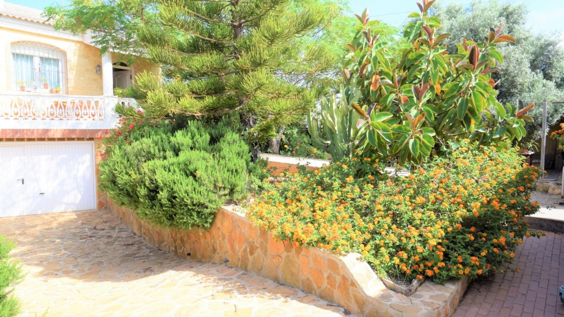 Revente - Villa - Torrevieja - Aguas Nuevas