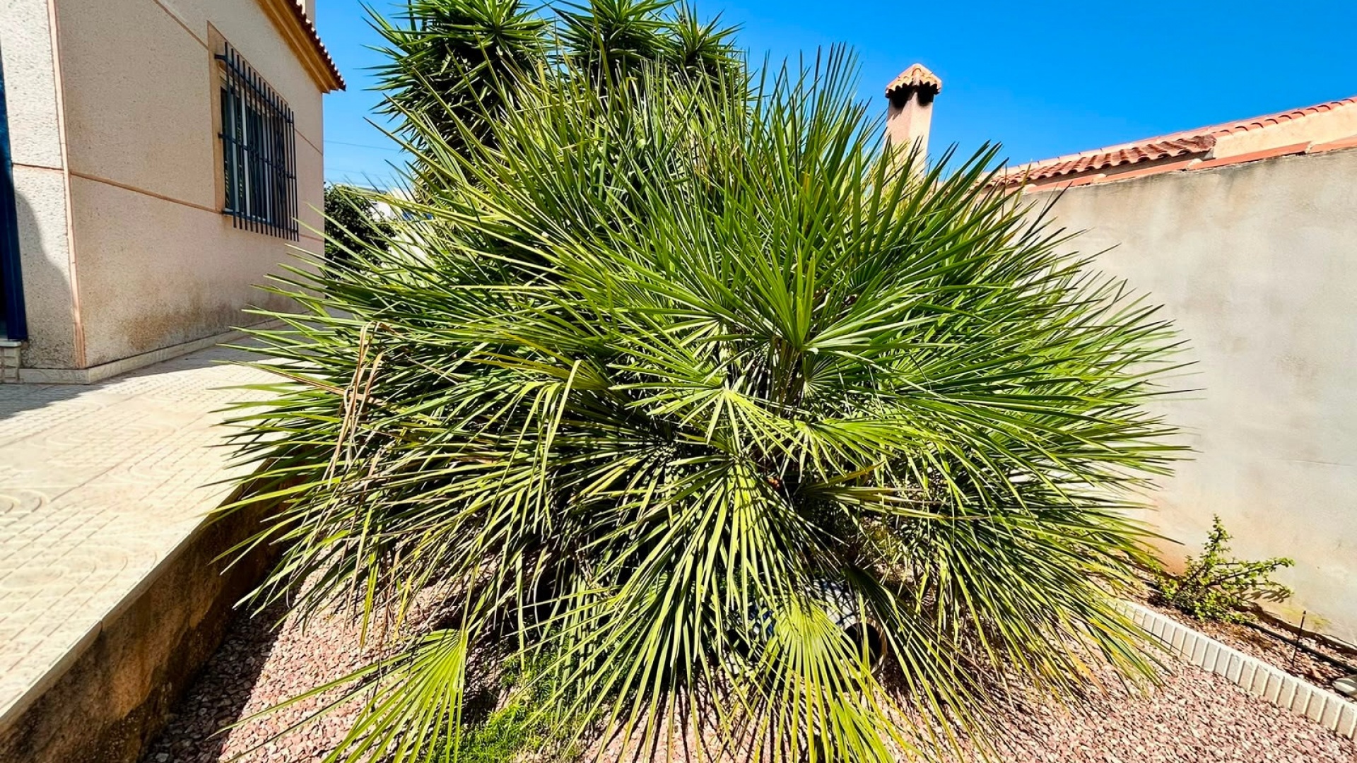 Revente - Villa - Torrevieja - san luis