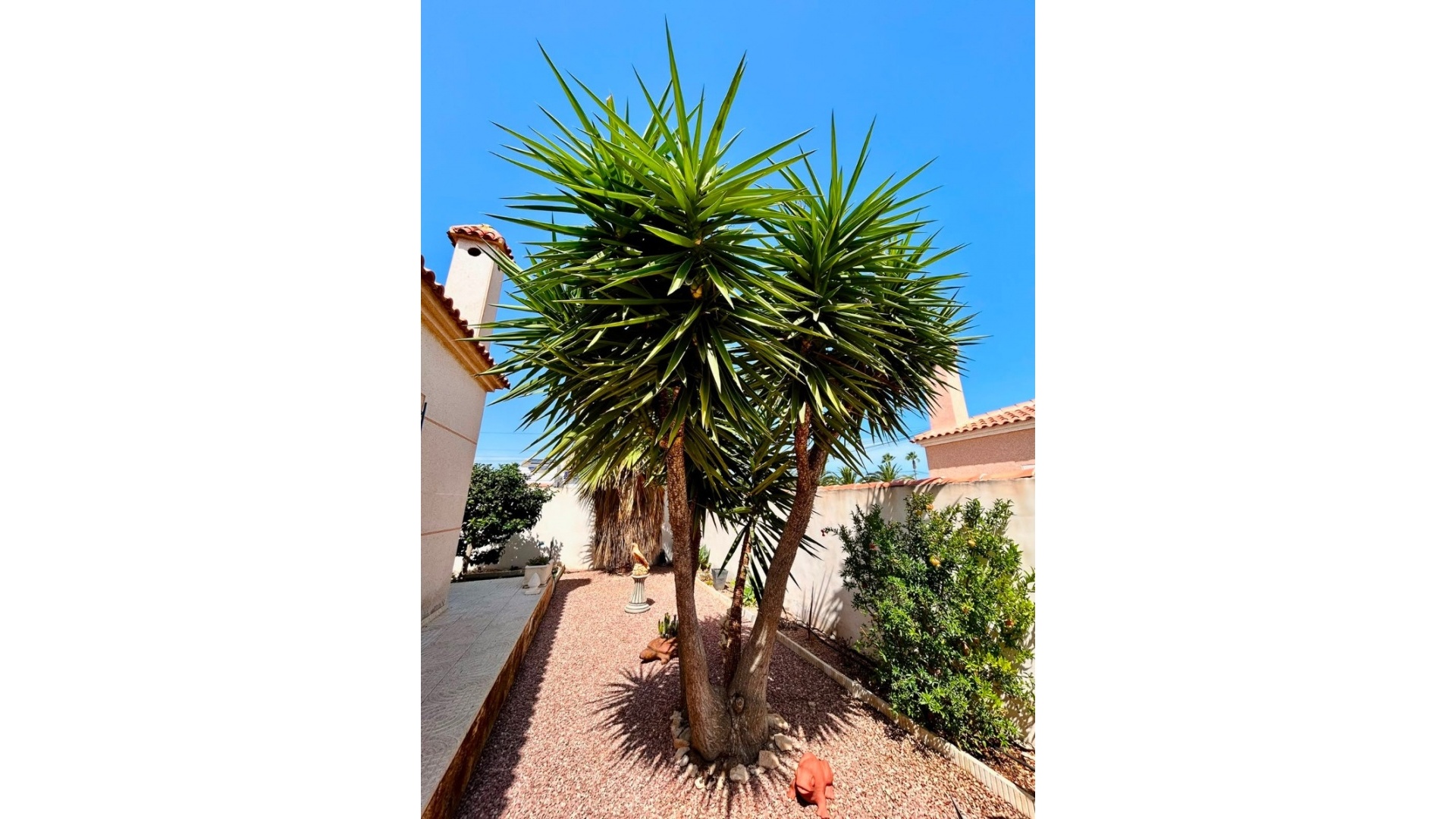 Revente - Villa - Torrevieja - san luis