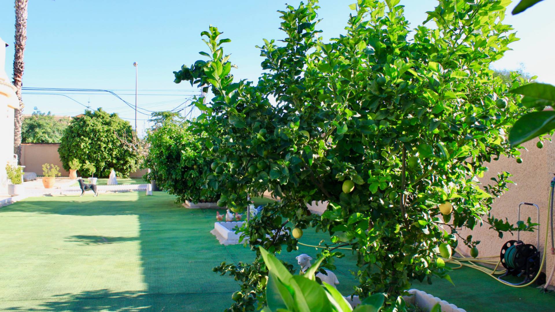 Revente - Villa - Torrevieja - san luis