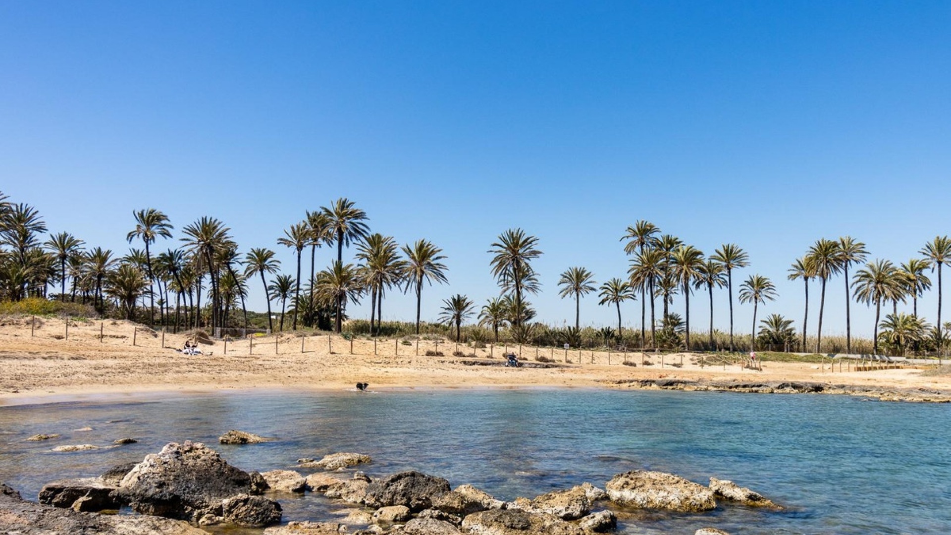 Revente - Villa - Torrevieja - Torrevieja Centro