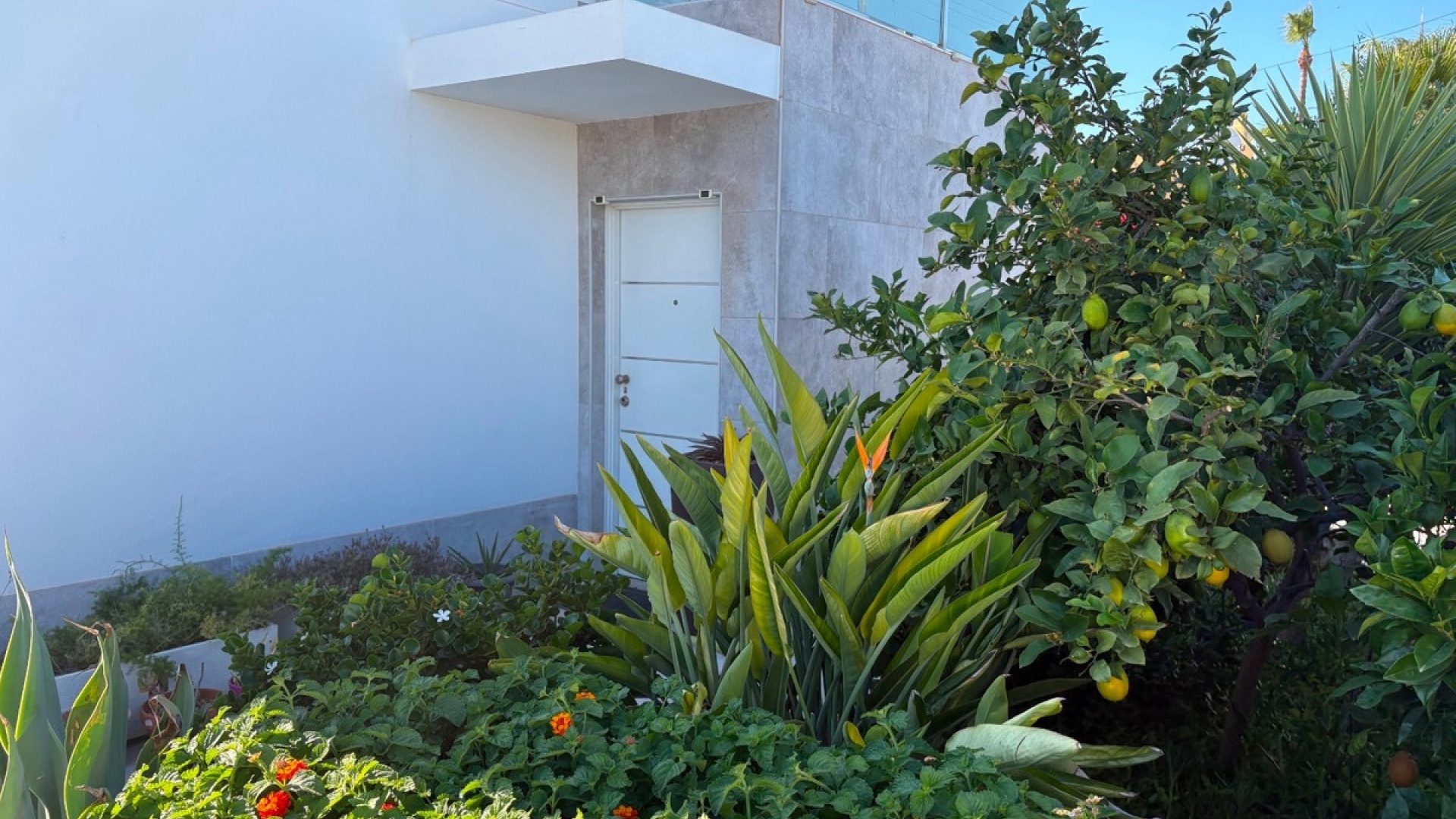 Revente - Villa - Torrevieja - Torrevieja Centro