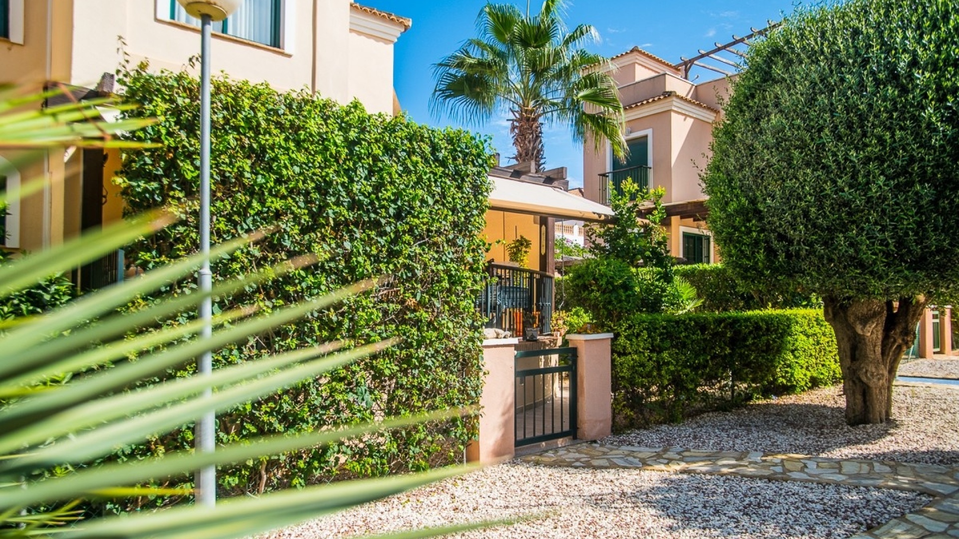 Revente - Villa - Torrevieja - Torrevieja Centro