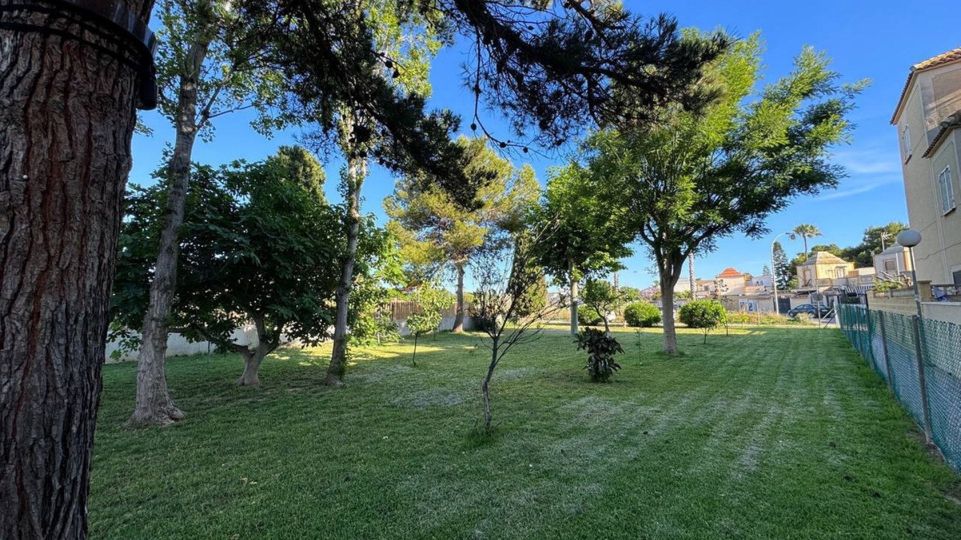 Revente - Villa - Torrevieja - Torrevieja Centro