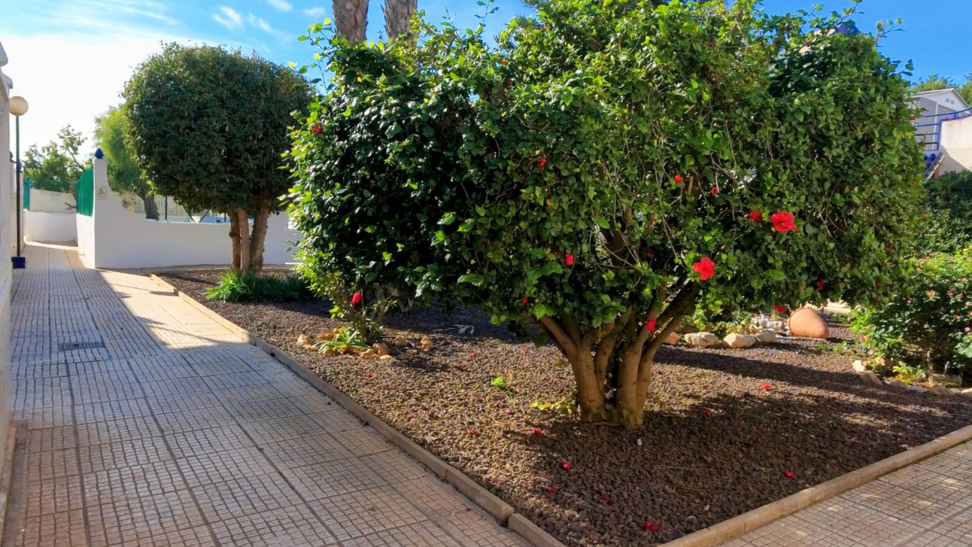 Revente - Villa - Torrevieja