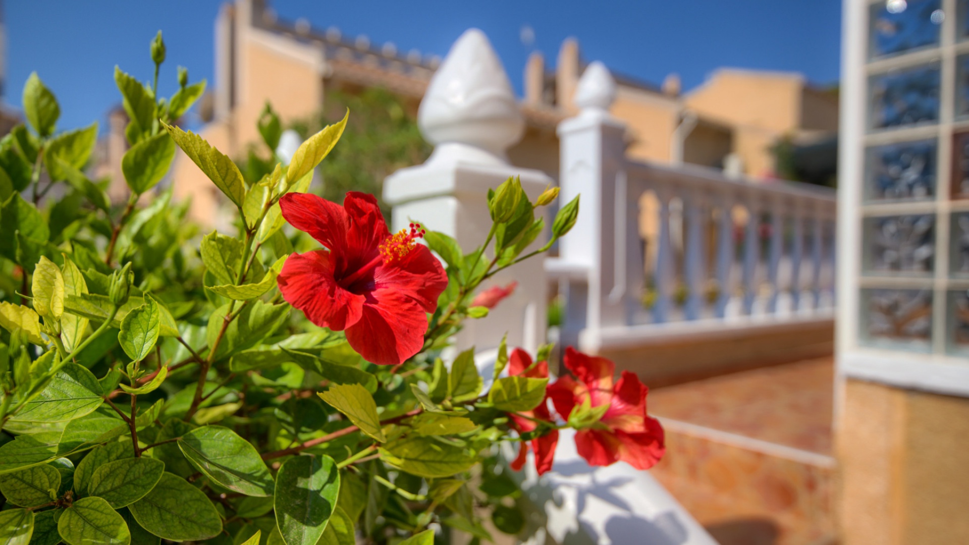 Revente - Villa - Villamartin - blue lagoon