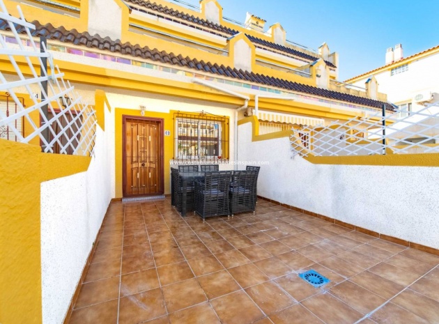 Stadthaus - Wiederverkauf - Playa Flamenca - las chismosas