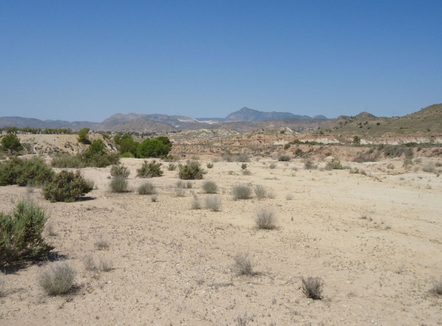 Terre - Revente - Abanilla - Abanilla Centro