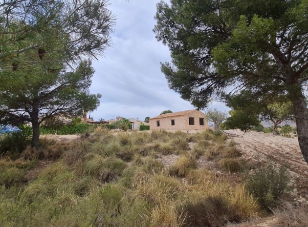 Terre - Revente - Abanilla - Abanilla Centro