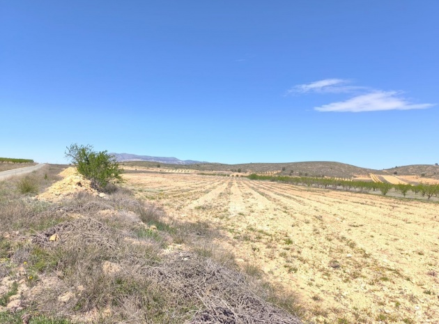 Terre - Revente - Abanilla - Cañada de la Leña