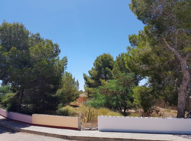 Terre - Revente - Algorfa - Montemar