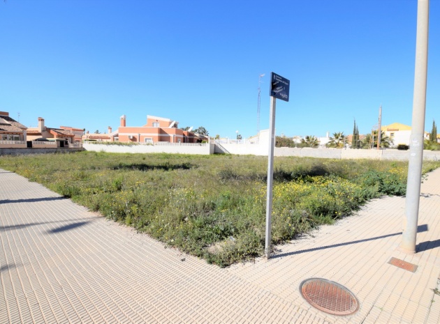 Terre - Revente - Guardamar del Segura - Guardamar del Segura Centro