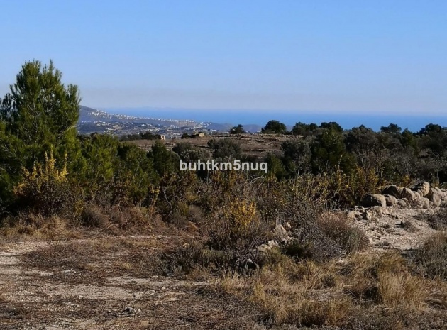 Terre - Revente - Jalon - Bernia