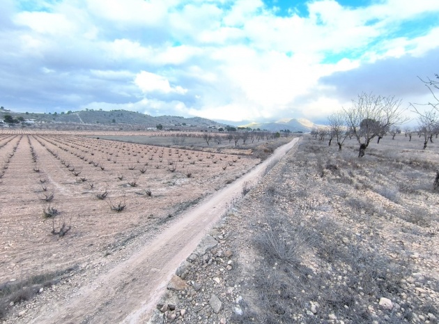 Terre - Revente - Jalon - La Solana