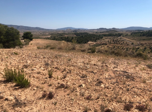 Terre - Revente - Jumilla - La Zarza