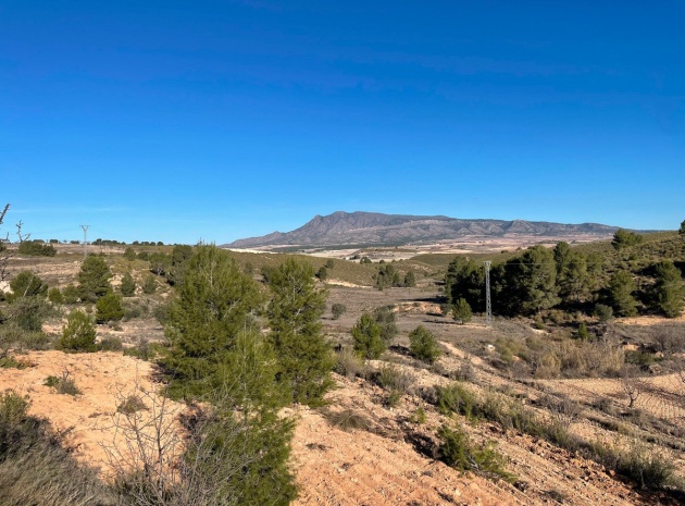 Terre - Revente - Jumilla - La Zarza