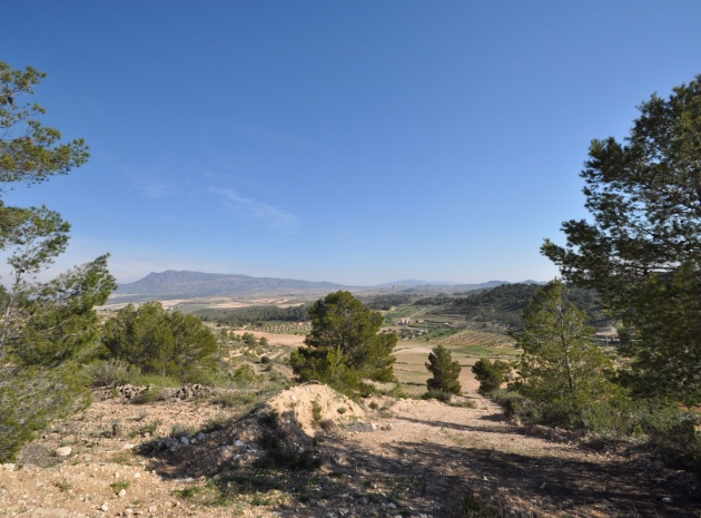 Terre - Revente - Jumilla - La Zarza