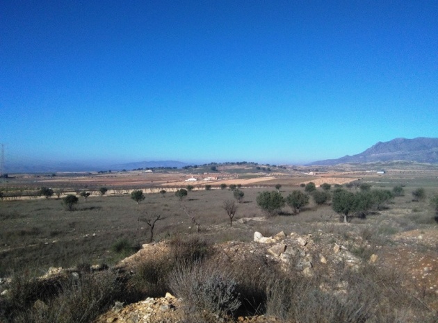 Terre - Revente - Jumilla - Torre del Rico
