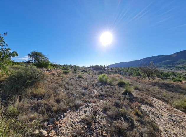 Terre - Revente - La Romana - La Romana Centro