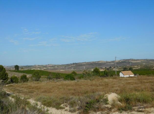 Terre - Revente - Orihuela - Torremendo