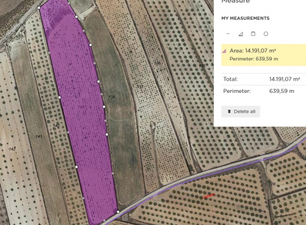 Terre - Revente - Pinoso - Pinoso Centro