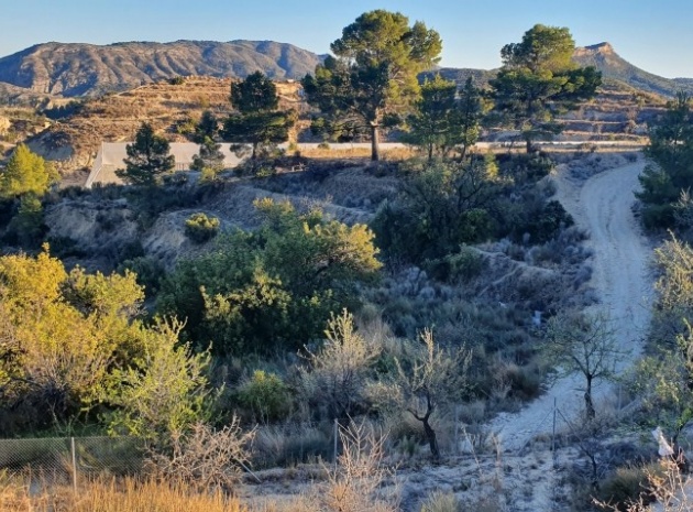 Terre - Revente - Relleu - Relleu Centro