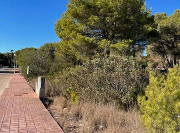 Terre - Revente - Villajoyosa - La Cala