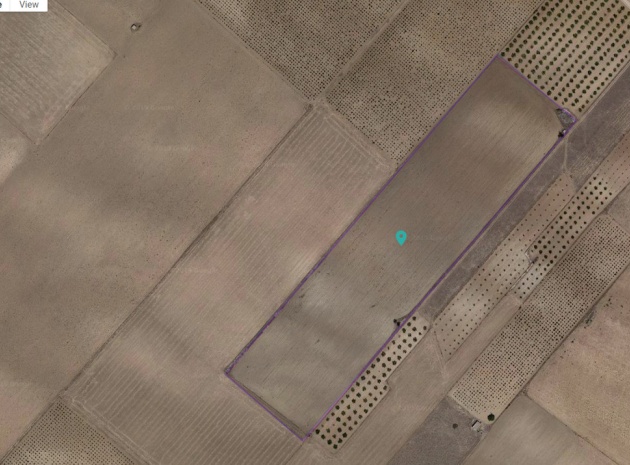 Terre - Revente - Yecla - Yecla Centro