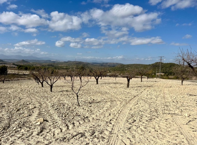 Tomt - Återförsäljning - Bullas - ESMA-90496