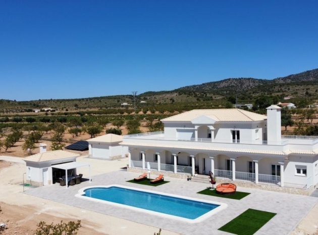 Villa - Neubau - Pinoso - NEWSP-53737