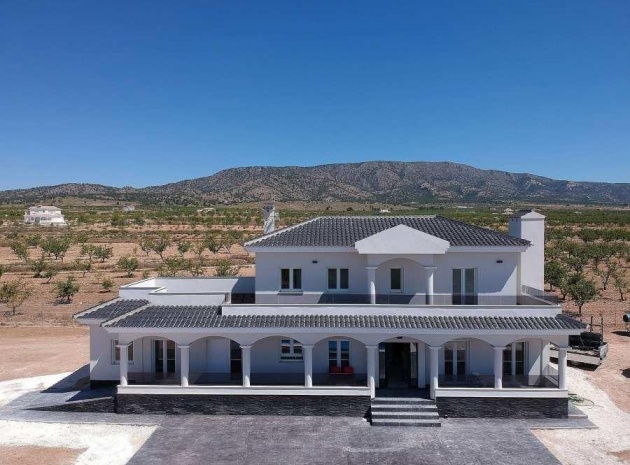 Villa - New Build - Pinoso - NEWSP-96662