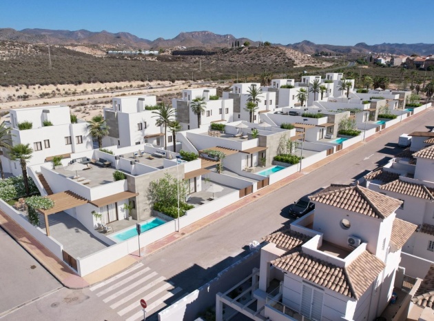 Villa - New Build - Puerto de Mazarron - NEWSP-99942