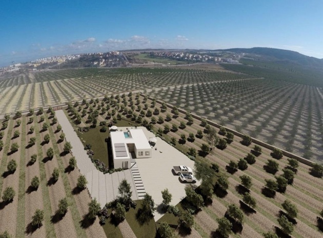 Villa - Nieuw gebouw - Algorfa - CSP-47973