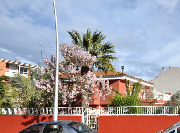 Villa - Resale - Sax - Sax Centro