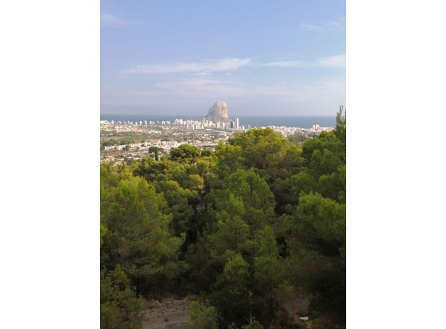 Villa - Wiederverkauf - Calpe - CSP-88891