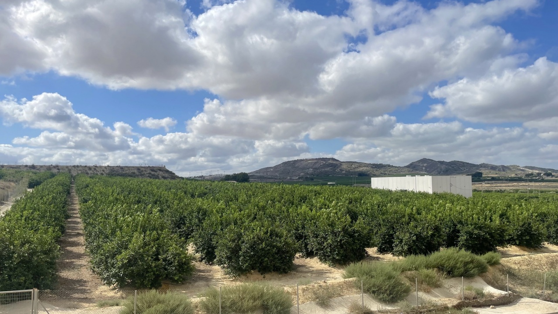 Wederverkoop - Appartement - Algorfa - fontana