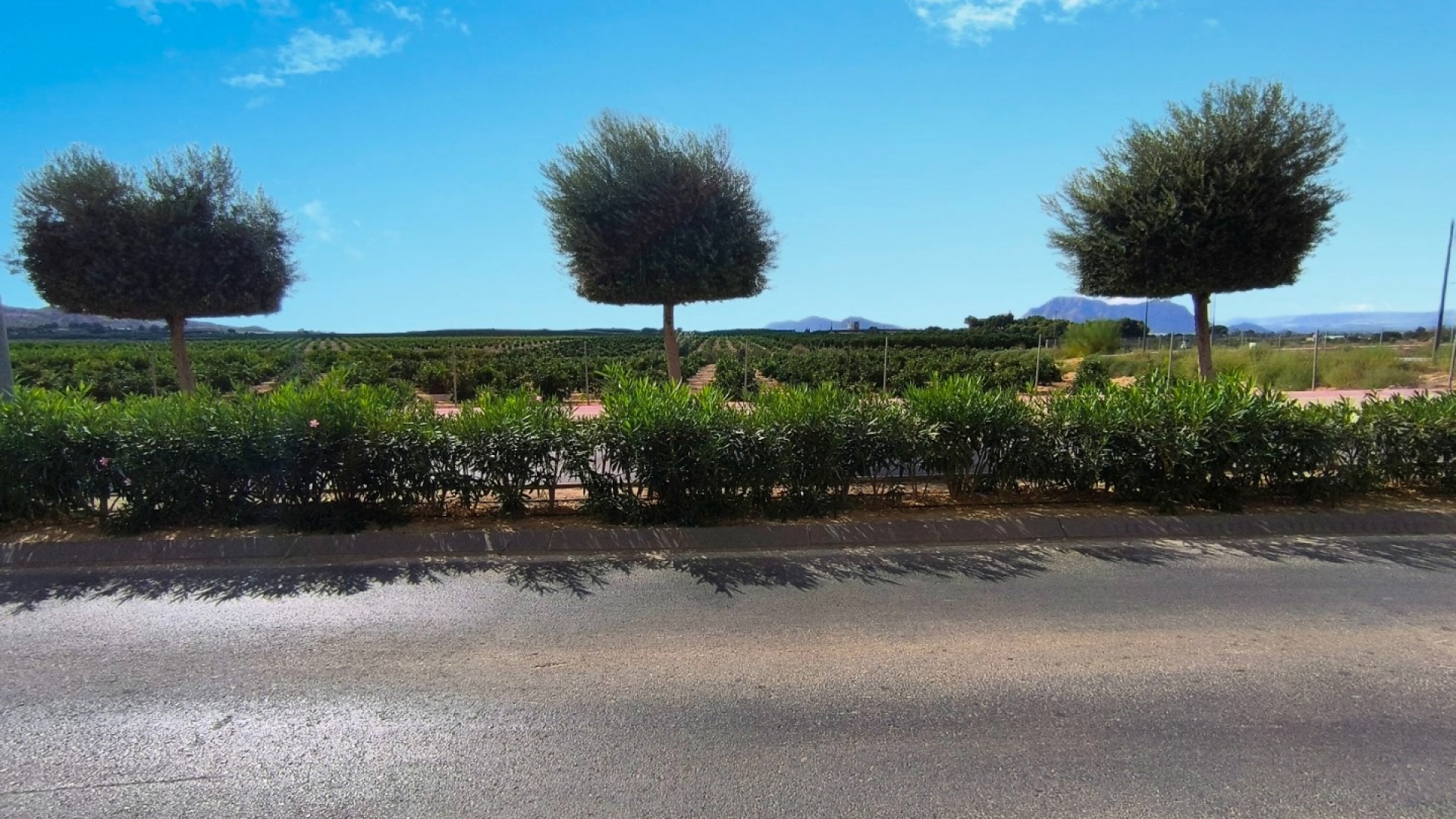 Wederverkoop - Appartement - Algorfa - fontana