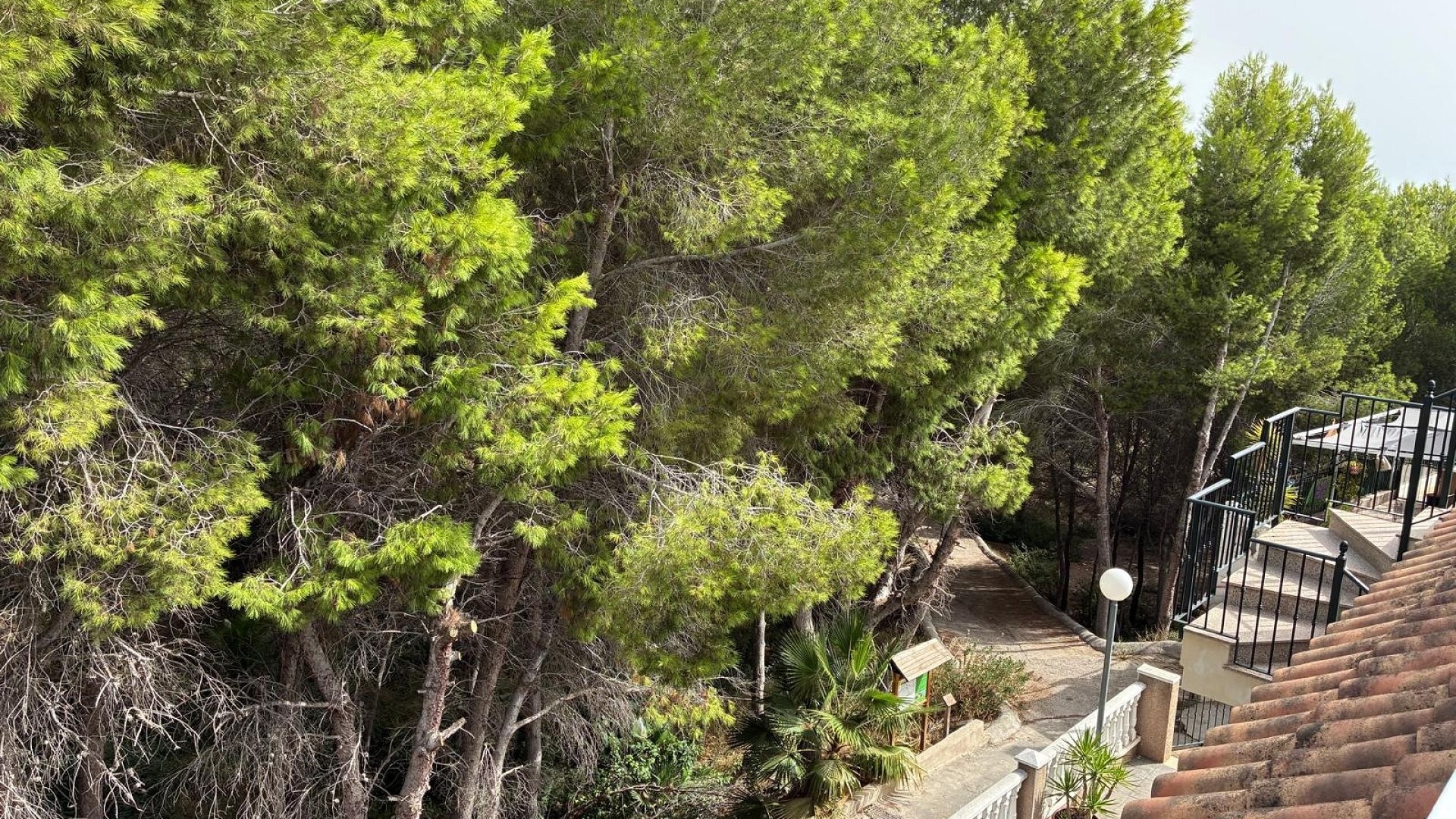 Wederverkoop - Appartement - Algorfa - Montemar