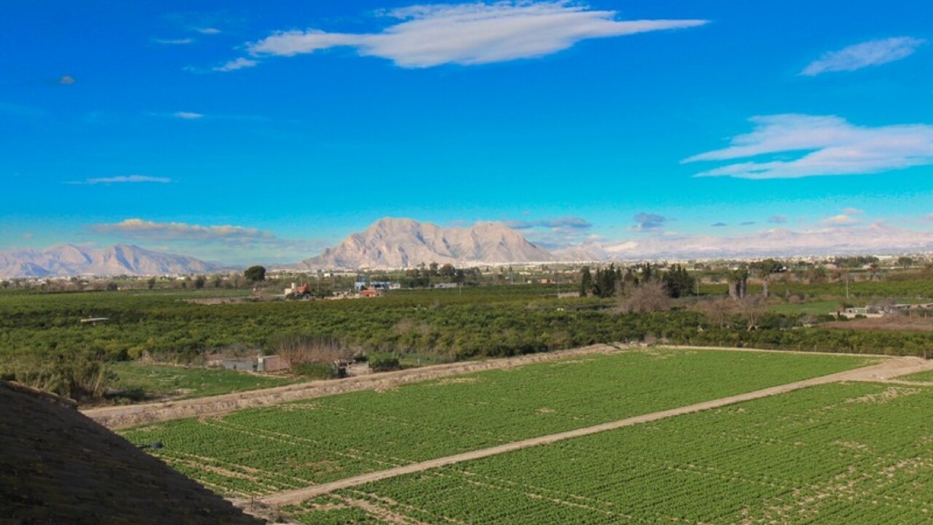 Wederverkoop - Appartement - Algorfa - res cecilia