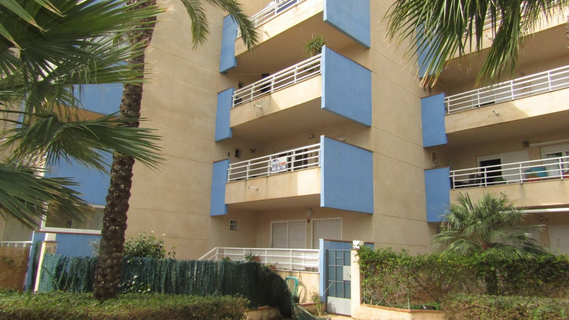 Wederverkoop - Appartement - Cabo Roig - aguamarina
