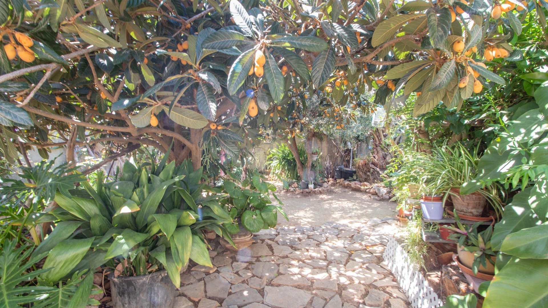 Wederverkoop - Appartement - Cabo Roig - la regia