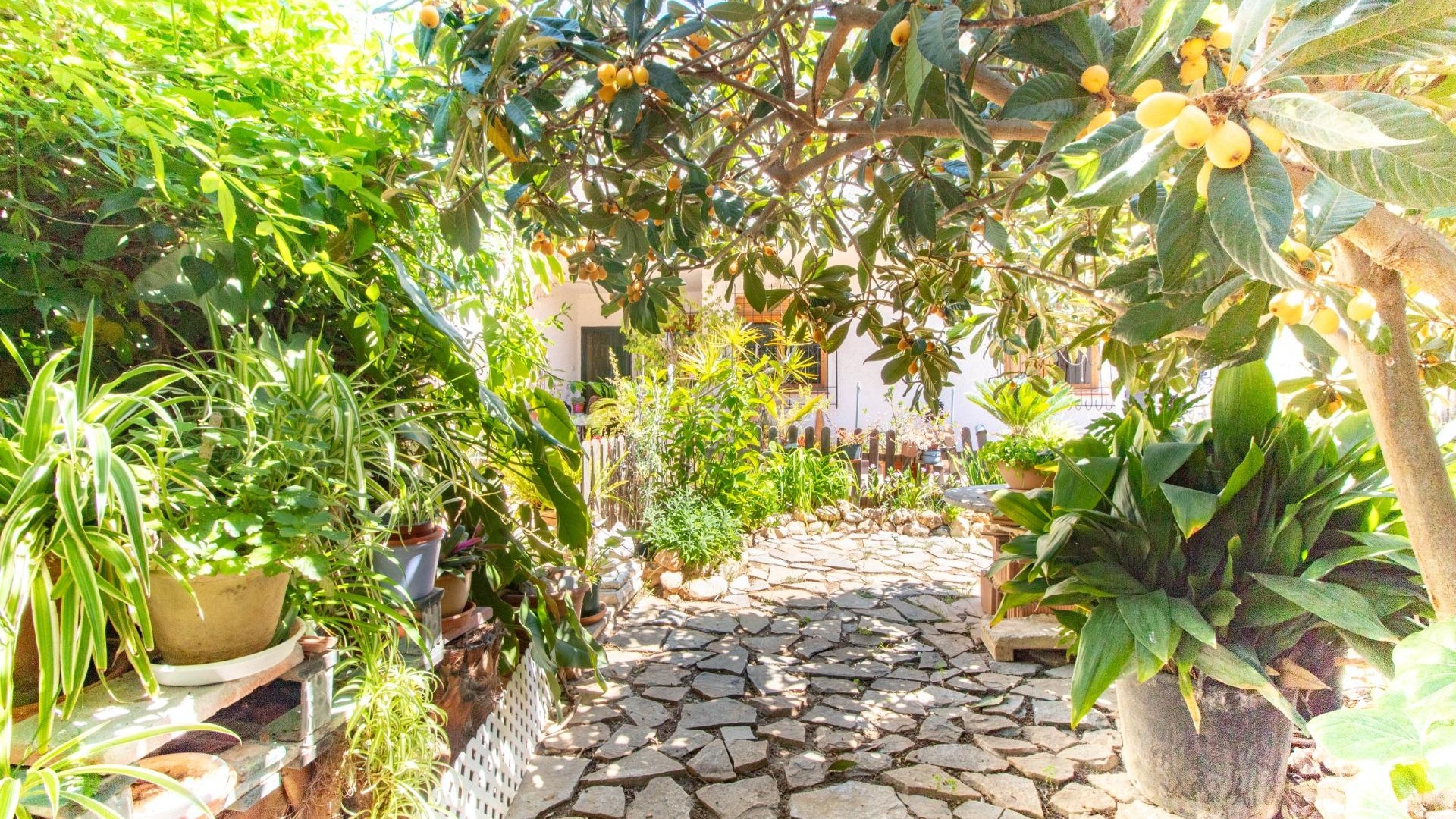 Wederverkoop - Appartement - Cabo Roig - la regia