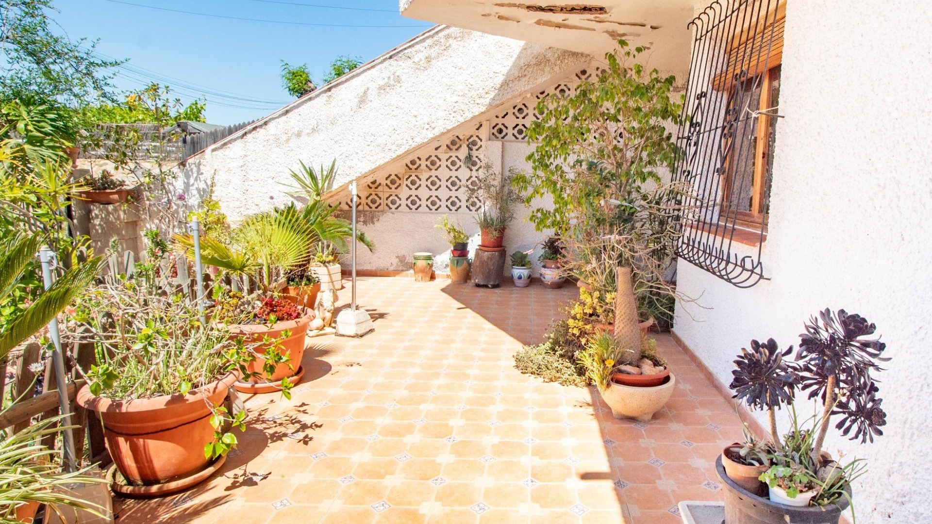 Wederverkoop - Appartement - Cabo Roig - la regia