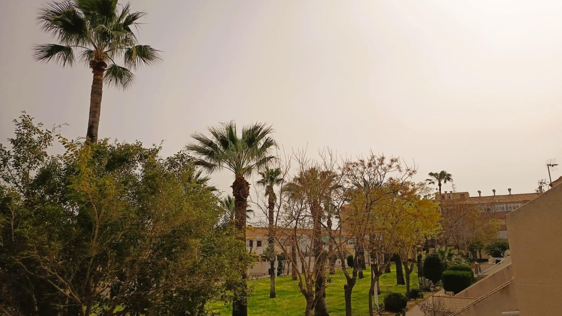 Wederverkoop - Appartement - Cabo Roig - la regia