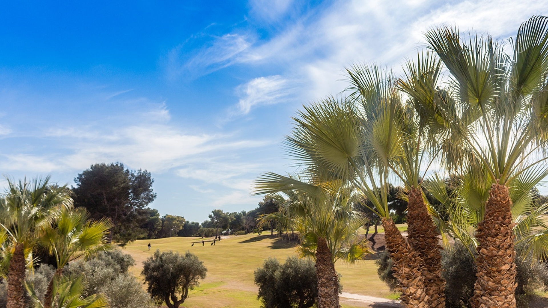 Wederverkoop - Appartement - Cabo Roig - Lomas de Cabo Roig