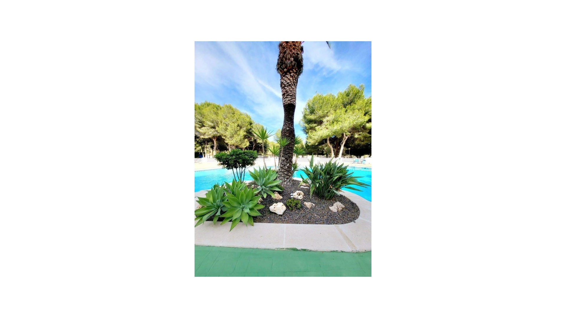 Wederverkoop - Appartement - Campoamor - Dehesa de Campoamor