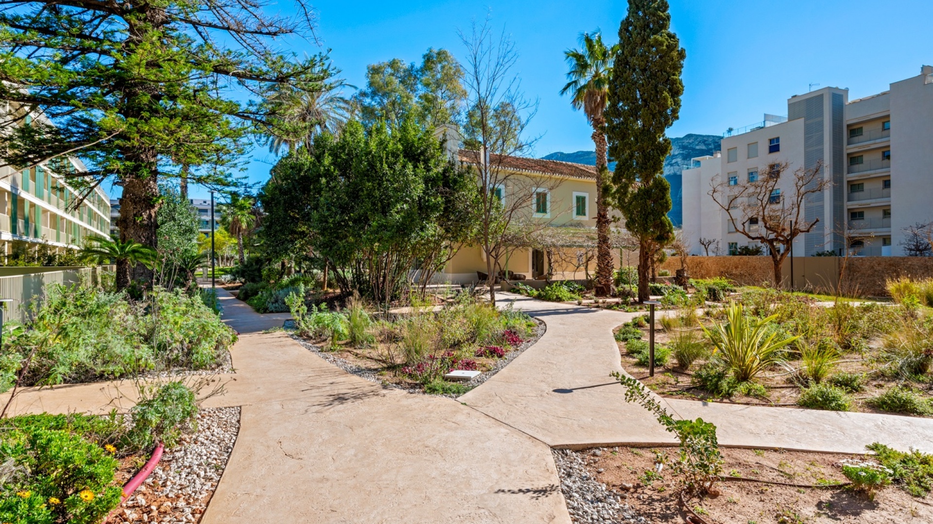 Wederverkoop - Appartement - Denia - Puerto