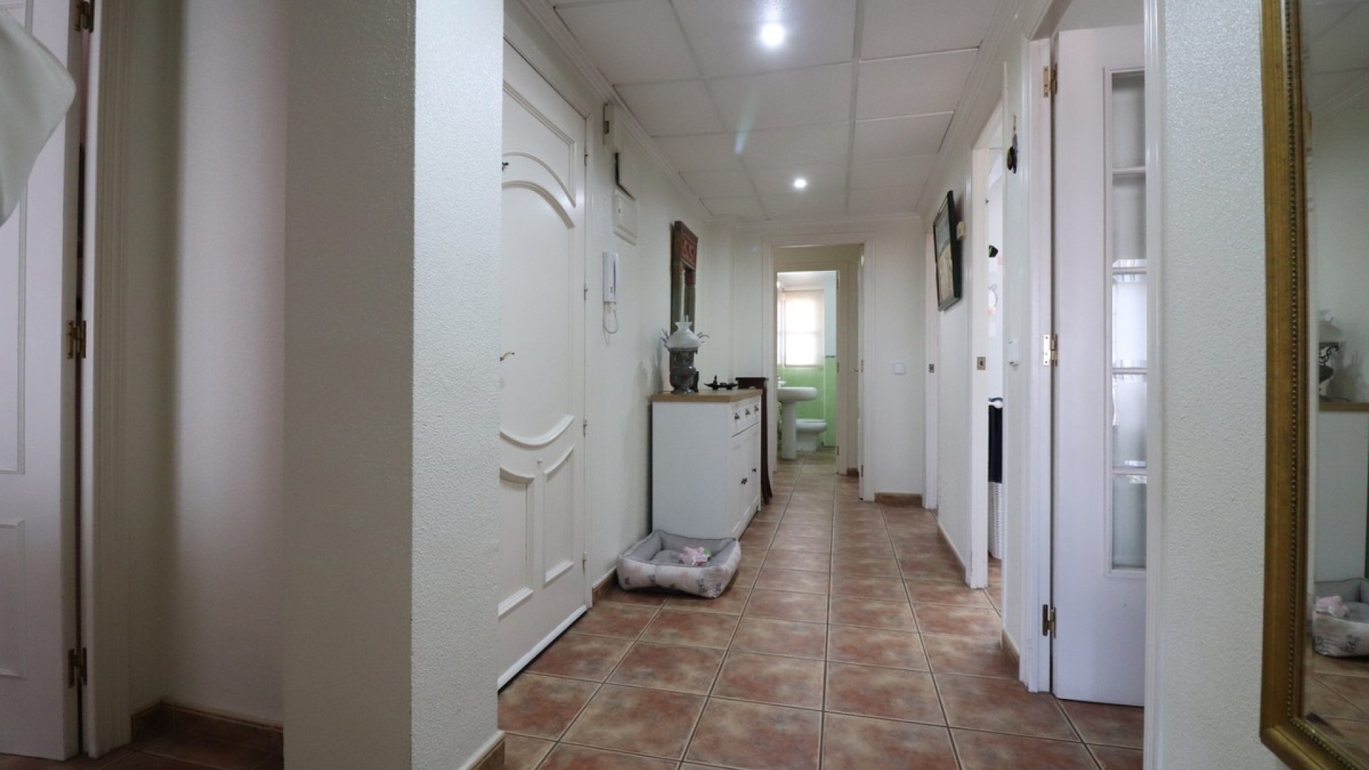 Wederverkoop - Appartement - Dolores - Dolores Centro