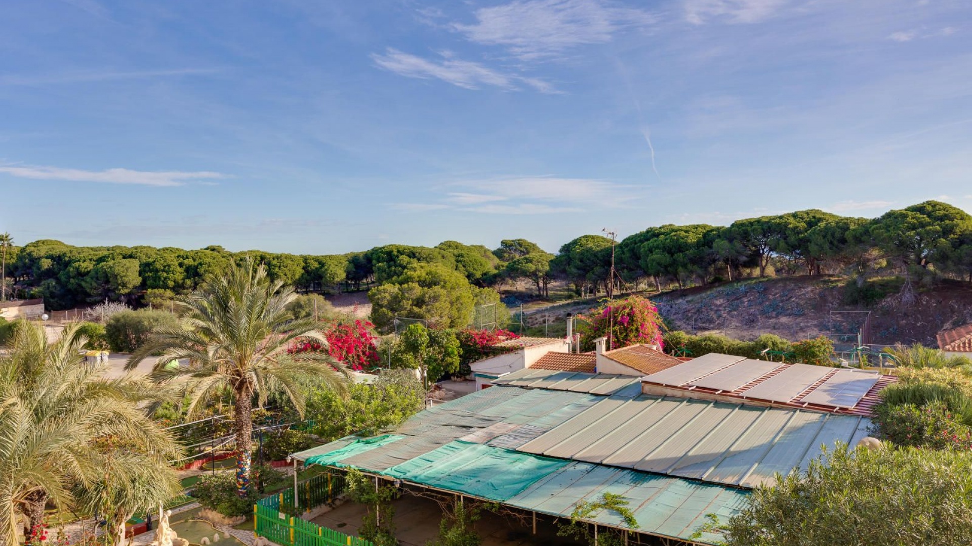 Wederverkoop - Appartement - Guardamar del Segura - beachside